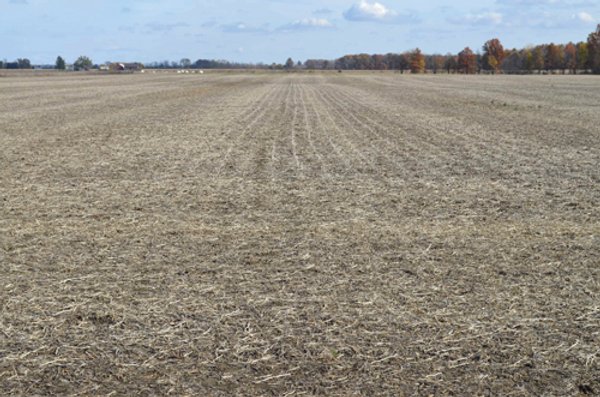 75.3 Acres Offered in 2 Tracts